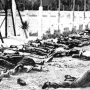 Massacres perpétrés par l'armée coloniale française, le 8 mai 1945 en (…)
